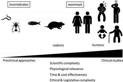 preclinical to clinical